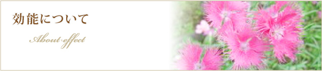 効能について